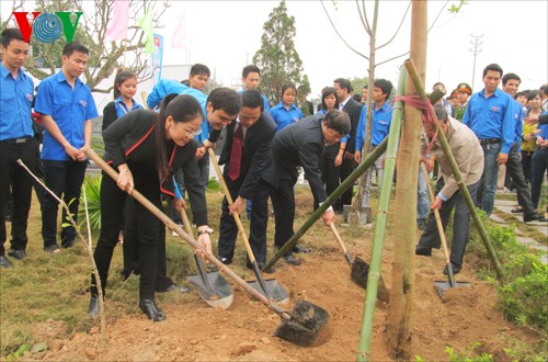 La traditionnelle fête de plantation d’arbres lancée dans plusieurs localités - ảnh 1
